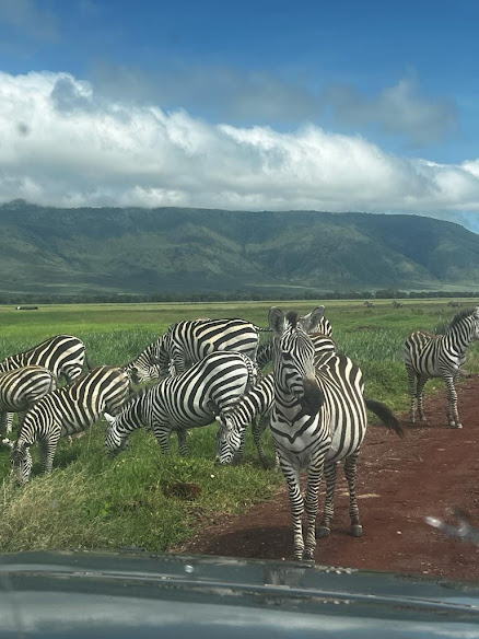 Ngorongoro Wild Camp