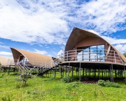 Ngorongoro Safaris Lodge