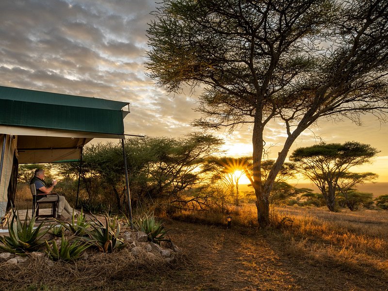 Serengeti Misako Luxury Camp