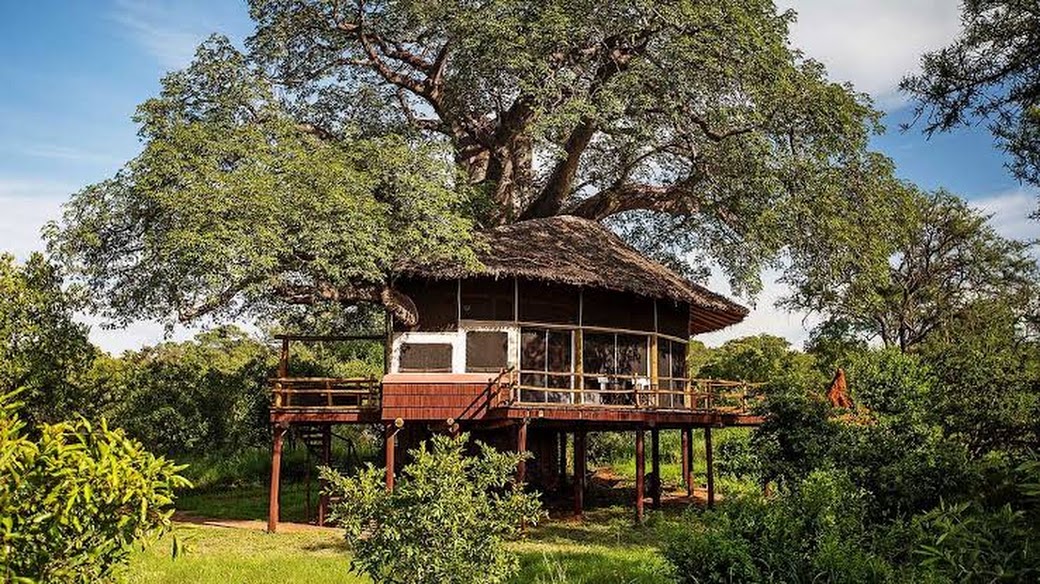 Elewana Tarangire Treetops