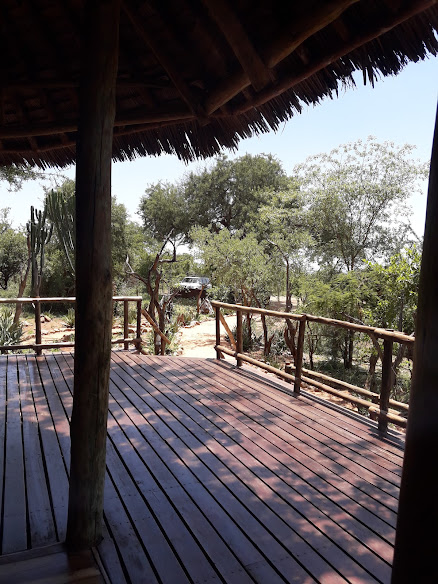 Elewana Tarangire Treetops