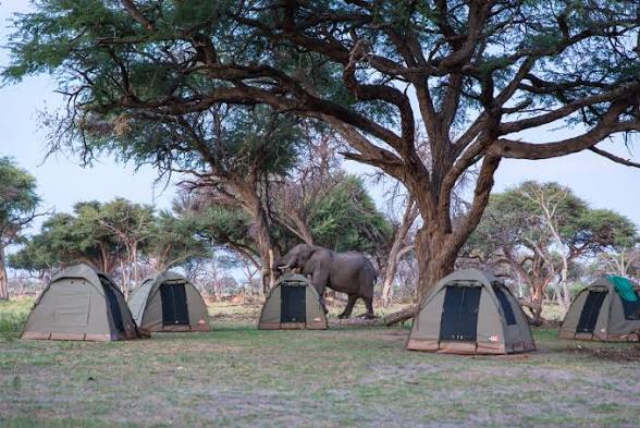 Camp Buffalo