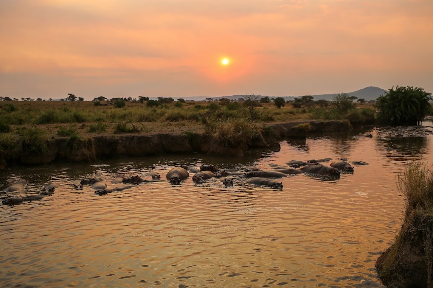 Osero Serengeti Tented Camp