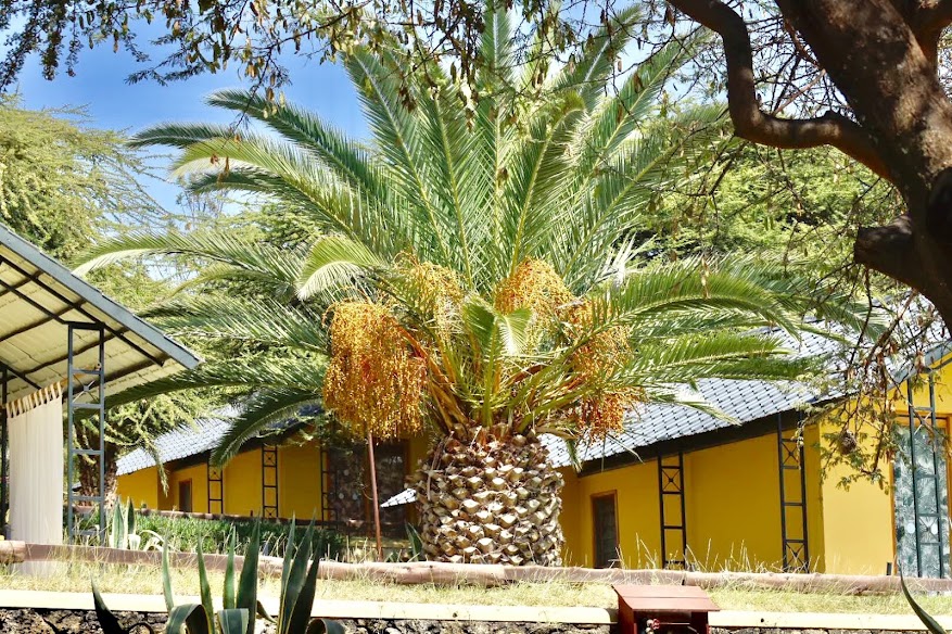 Sabana Beach Resort