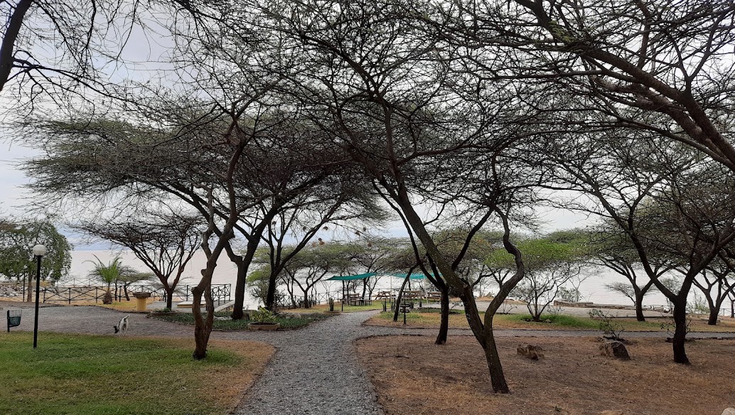 Sabana Beach Resort