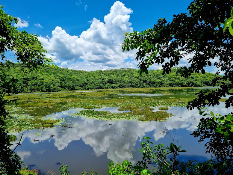 Chebera Churchura Eco-Lodge