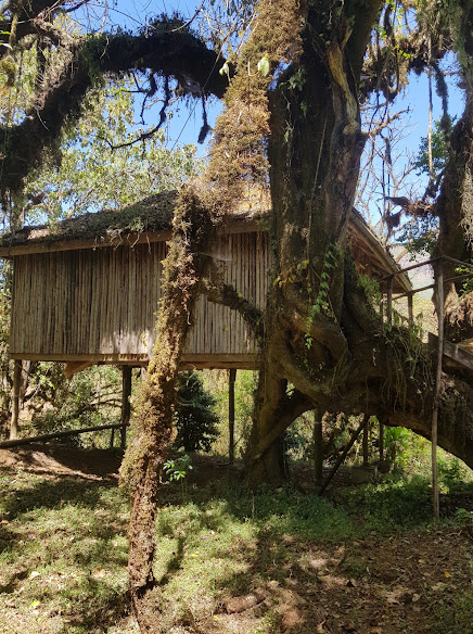 Bale Mountain Lodge