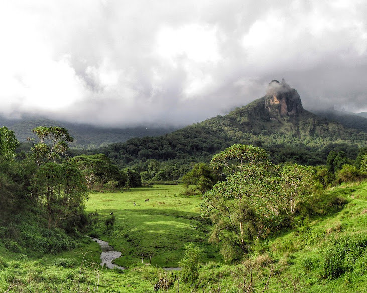 Bale Mountain Lodge