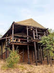 Serengeti Safari Lodge