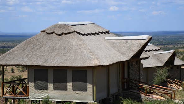 Ruaha River Lodge