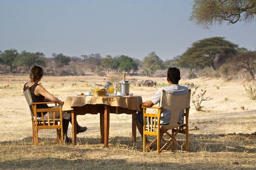Ruaha River Lodge