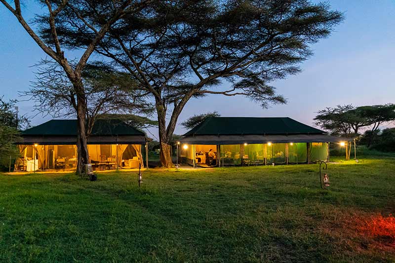 Ndutu Heritage Migration Camp