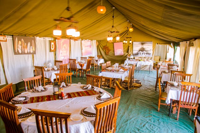 Ndutu Heritage Migration Camp