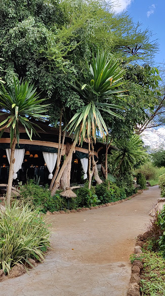 Kibo Safari Camp