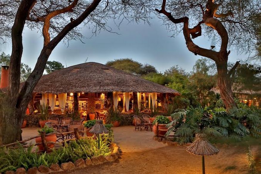 Kibo Safari Camp