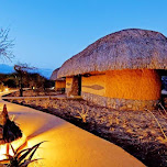 Samburu Intrepids Camp