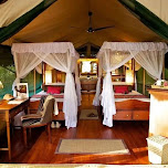 Samburu Intrepids Camp