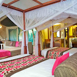 Samburu Intrepids Camp