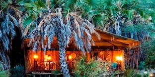 Samburu Intrepids Camp