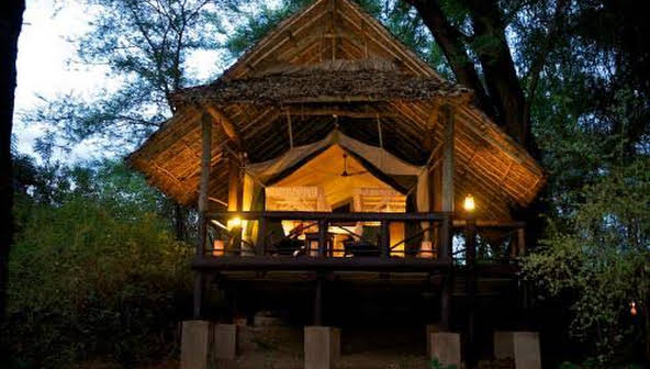 Samburu Intrepids Camp