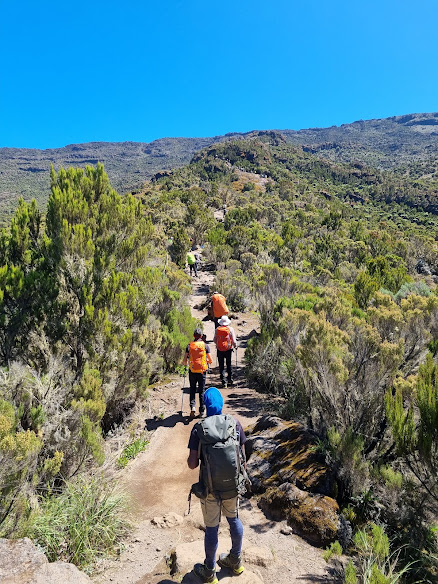 Machame Camp