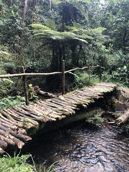 Mahogany Springs Lodge