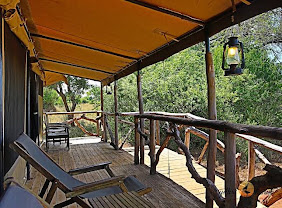 Yellow Barbet Tented Camp