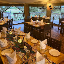 Yellow Barbet Tented Camp