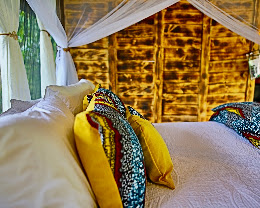 Yellow Barbet Tented Camp