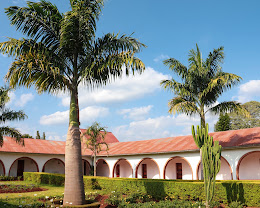Stc. Safari Lodge