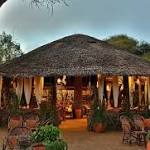 Simba Safari Lodge