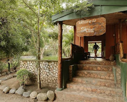 Simba Safari Lodge