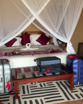 Ihamba Safari Lodge