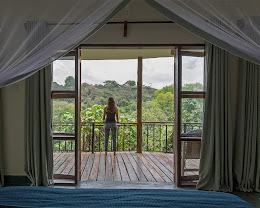 Turaco Treetops Lodge