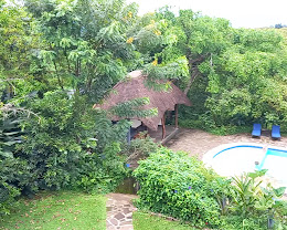 Turaco Treetops Lodge
