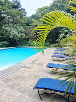 Turaco Treetops Lodge