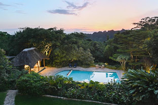 Turaco Treetops Lodge