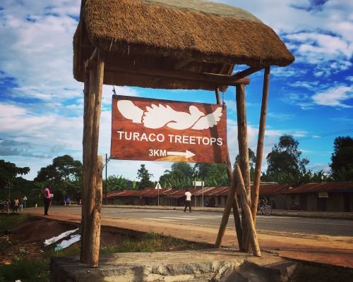 Turaco Treetops Lodge