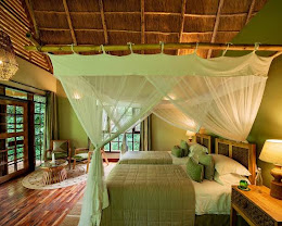 Primate Safari Lodge