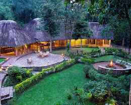 Primate Safari Lodge