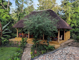 Primate Safari Lodge