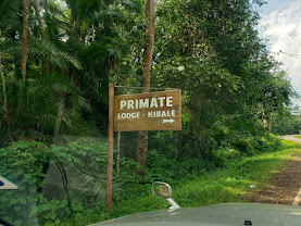 Primate Safari Lodge
