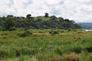 Paraa Safari Lodge