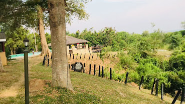 Paraa Safari Lodge