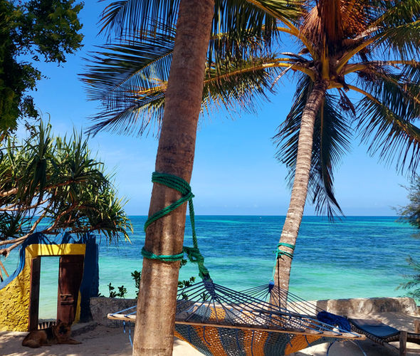 Queen of Sheba Zanzibar
