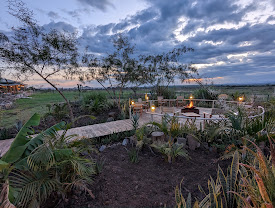 Zebra Plains Mara Camp