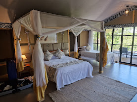 Zebra Plains Mara Camp