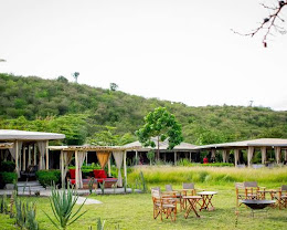 Zebra Plains Mara Camp