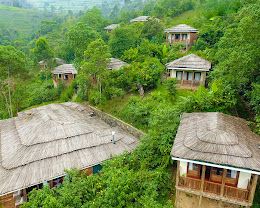 Four Gorillas Lodge