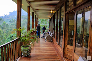 Four Gorillas Lodge